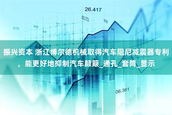 振兴资本 浙江博尔德机械取得汽车阻尼减震器专利，能更好地抑制汽车颠簸_通孔_套筒_显示